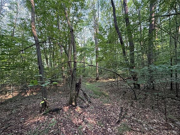 4th image of 3992 Bear Hollow Rd Lot 3