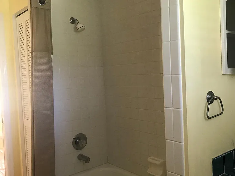 Guest bath