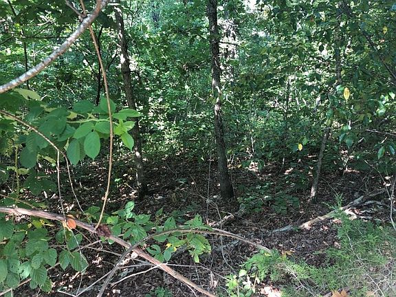 2nd image of 9 Cawood Dr