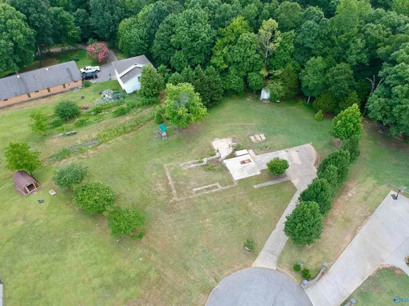 1 County Road 499, Trinity, AL 35673