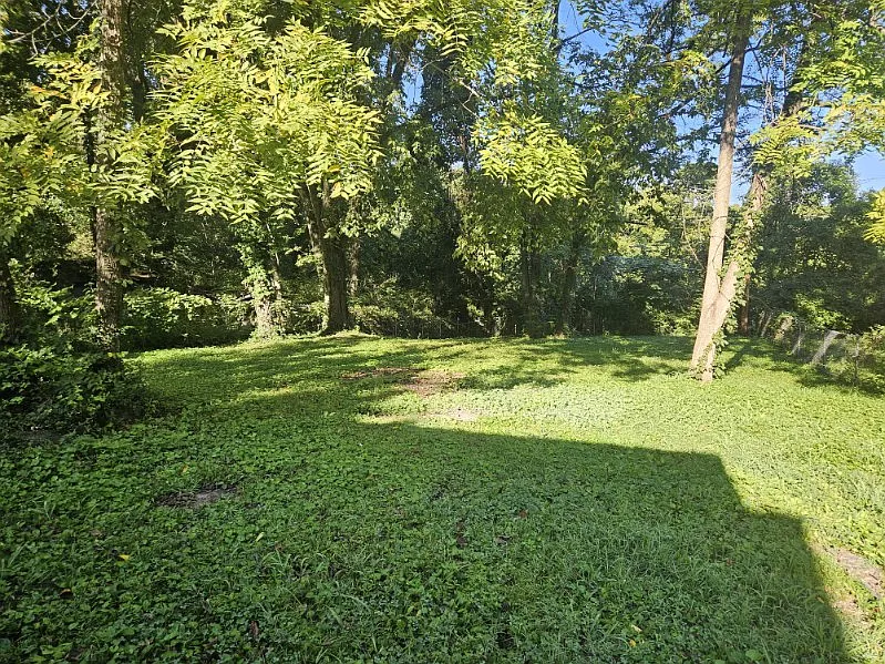 2 bed, 864 sqft, $1,250 — Photo 2