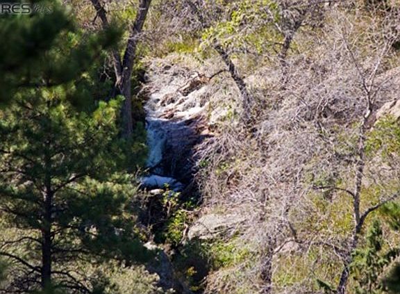 2nd image of 1601 Turkey Walk Trl