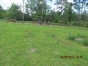 Photo of Mobile Home Lot