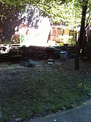 Rented by L.Nelson & Associates