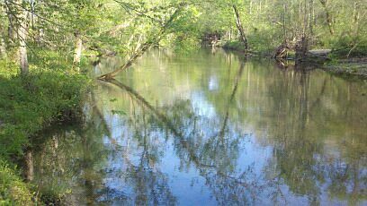 2nd image of 3009 Hurricane Creek Rd