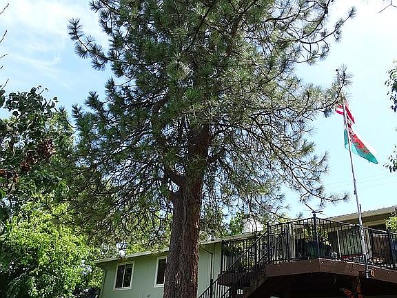 2nd image of 3600 Scenic Dr