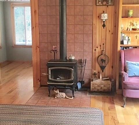 Wood burning stove in family room