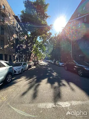 Rented by Alpha Properties NYC I LLC | media 7