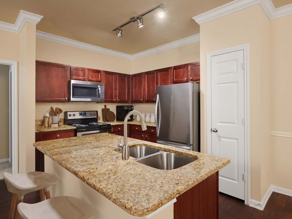 1101 Brushy Creek Rd APT 407