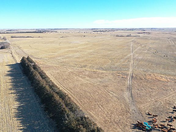5th image of 37 Road