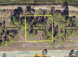 711 E 12th St, Lehigh Acres, FL 33972