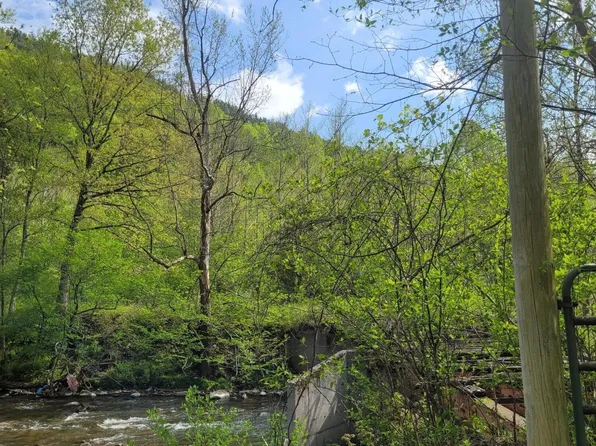 Roan Creek Rd, Butler, TN 37640
