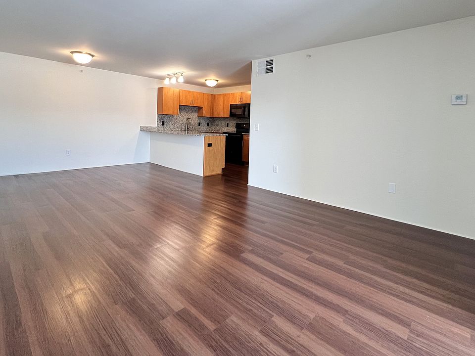 Large Open Living Concept