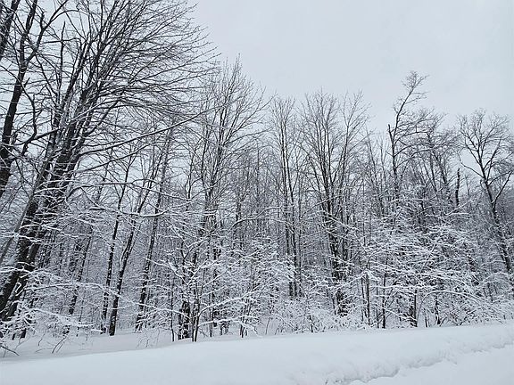 2nd image of 4647 Hillview Dr