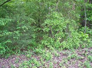 City St, Camden, TN 38320