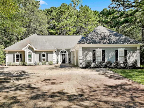 250 Chimney Spgs, Tyrone, GA 30290