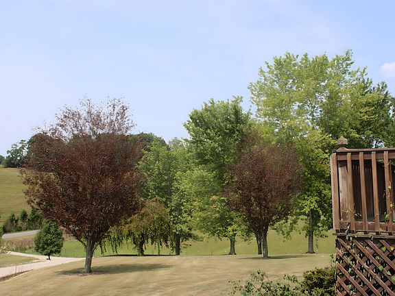 4th image of 31 Kaden Dr