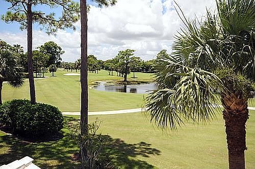 View of Pond from home