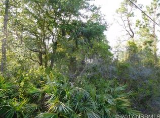 1950 Maytown Rd, Oak Hill, FL 32759