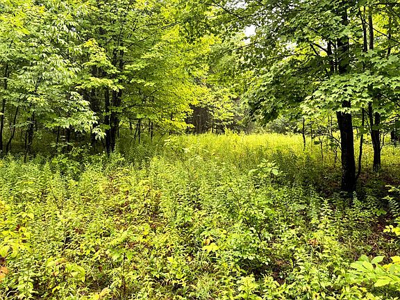 3rd image of 1.8 Brigham Rd #8