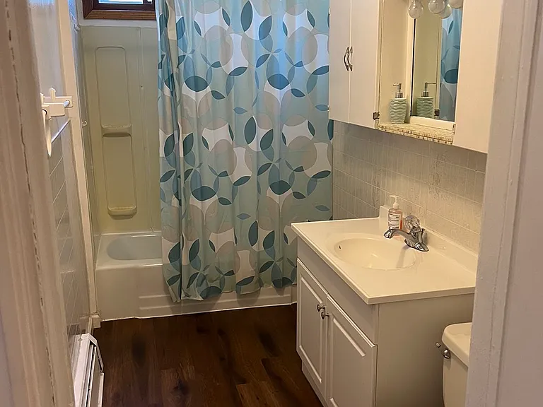 1125 Albany St #1 — Photo 9