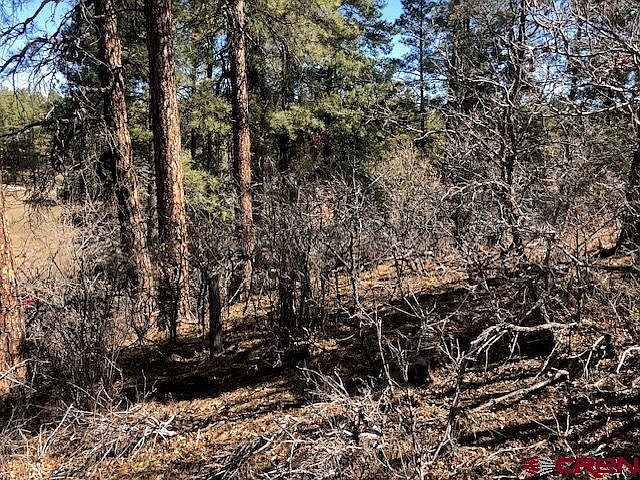 1st image of 858 Petitt's Circle