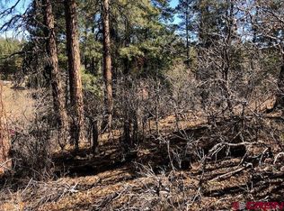 858 Petitts Cir, Pagosa Springs, CO 81147