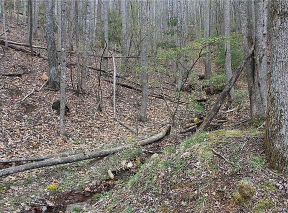 3rd image of 8 Pine Dr