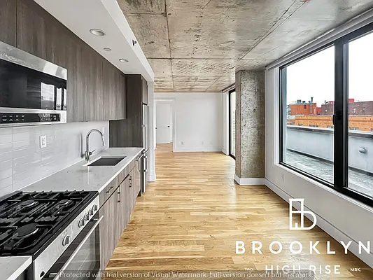 Rented by Brooklyn High Rise LLC | media 66