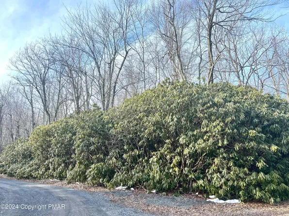 Lotsa17 18 Rhododendron Road & Waterbirch Dr, Jim Thorpe, PA 18229