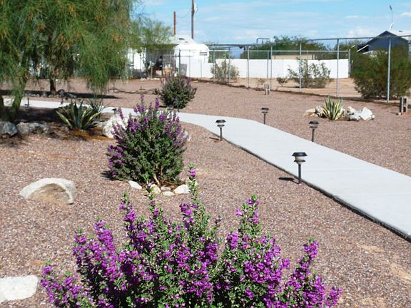 Front Yard, in bloom