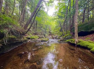 567 & LOT 13-98, Grafton, NH 03240