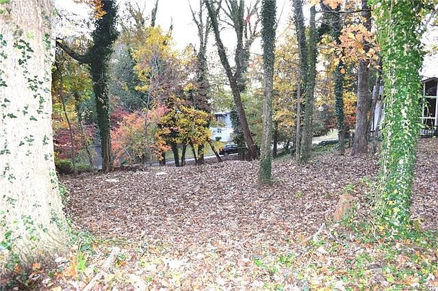 1st image of Tbd Stockbridge Pl #10