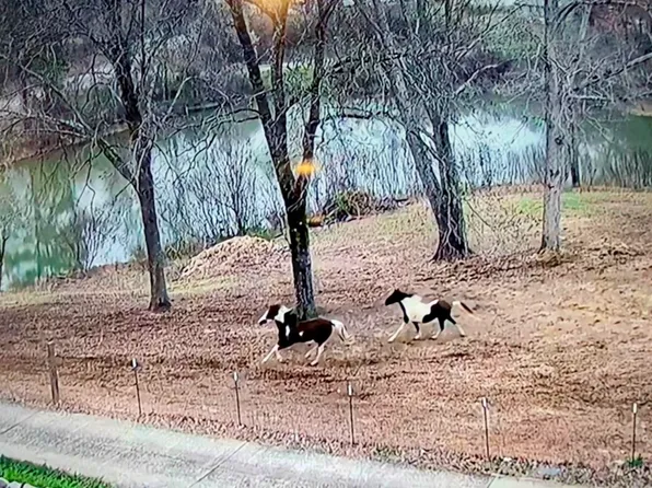 123 Highway 216 #123, Mc Calla, AL 35111