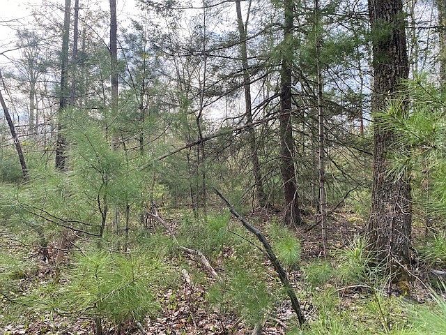 2nd image of 27 New Athol Rd Lot T408/77 10