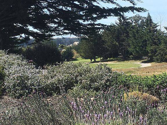 View of golf course & Pismo Dunes from backyard