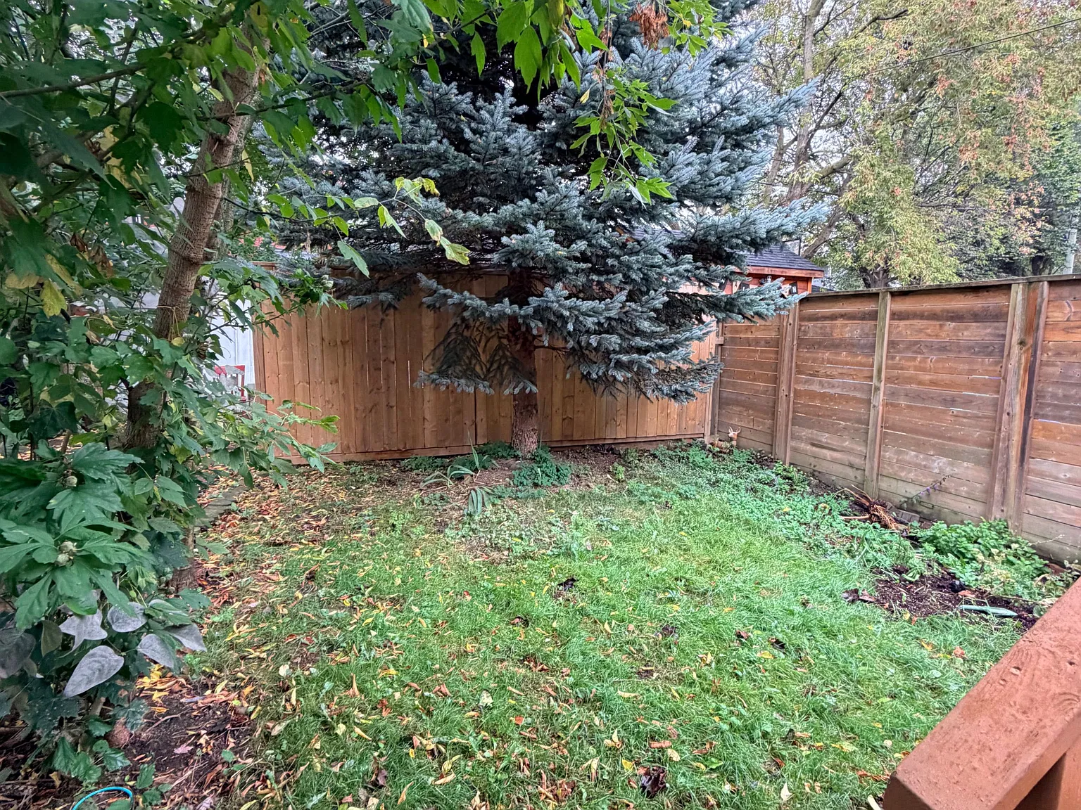 1 bed, $2,200 — Photo 4