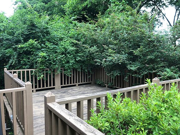 Back Deck