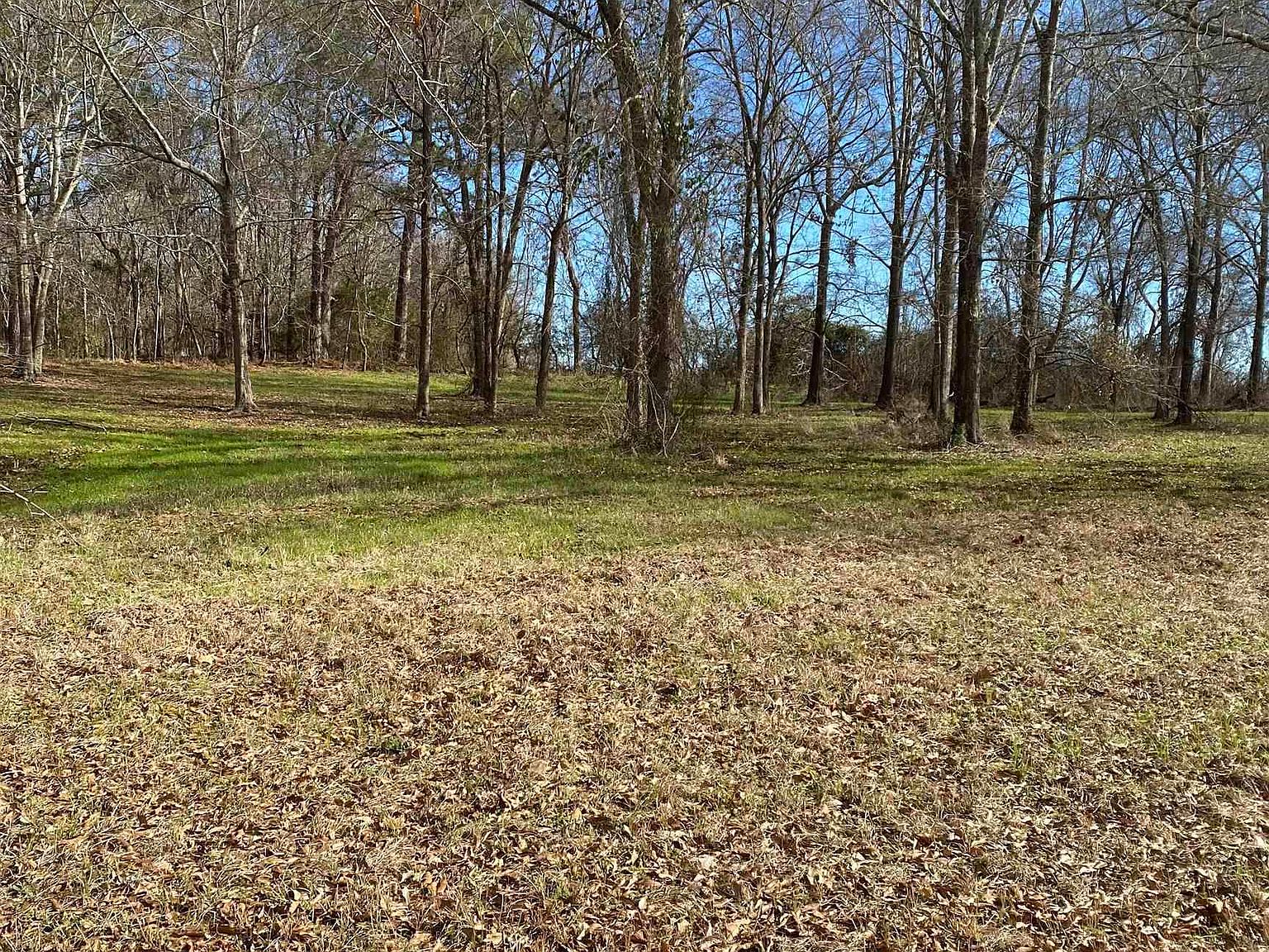 99 River Ridge Dr, Hawkinsville, GA 31036 MLS 231299 Zillow