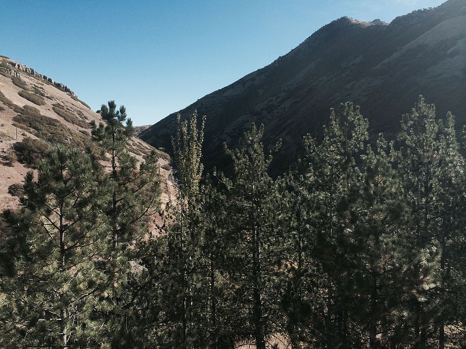 CANYON VIEW