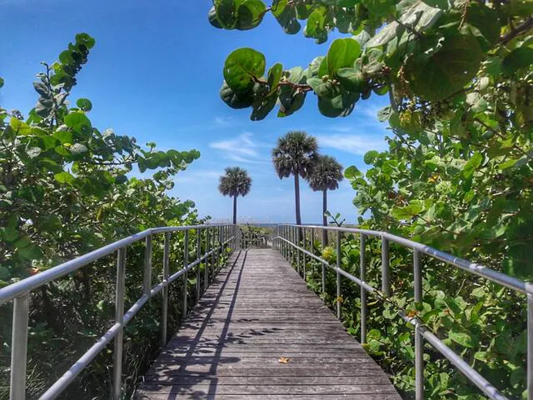 Your Path to Paradise