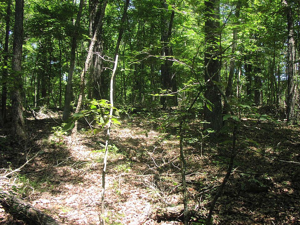 2nd image of Murray Rd