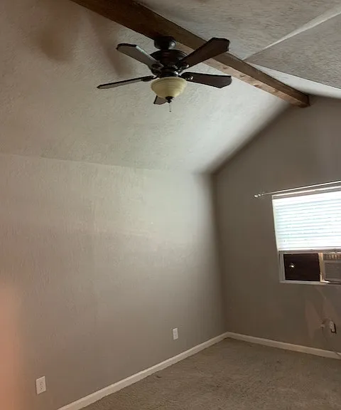 primary with vaulted ceilings