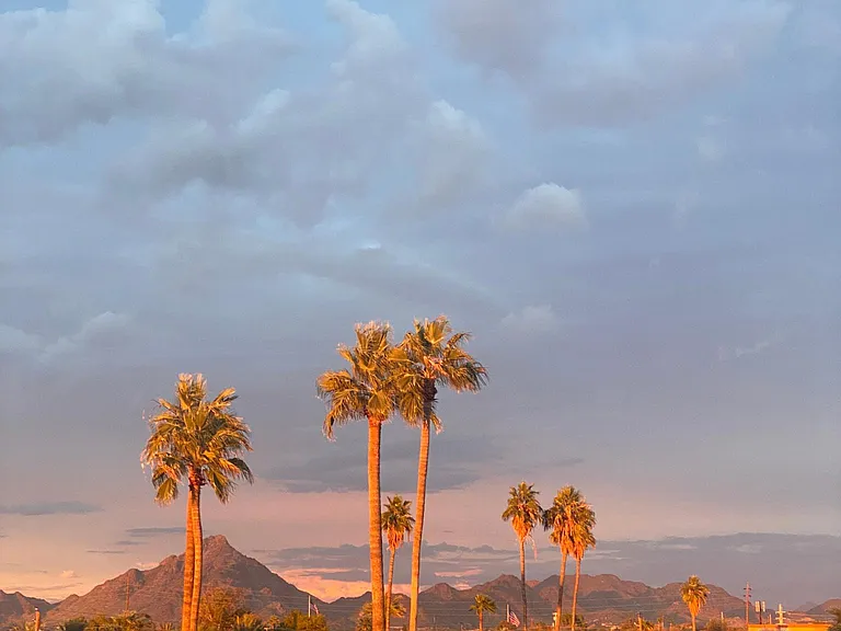 View from patio at sunset