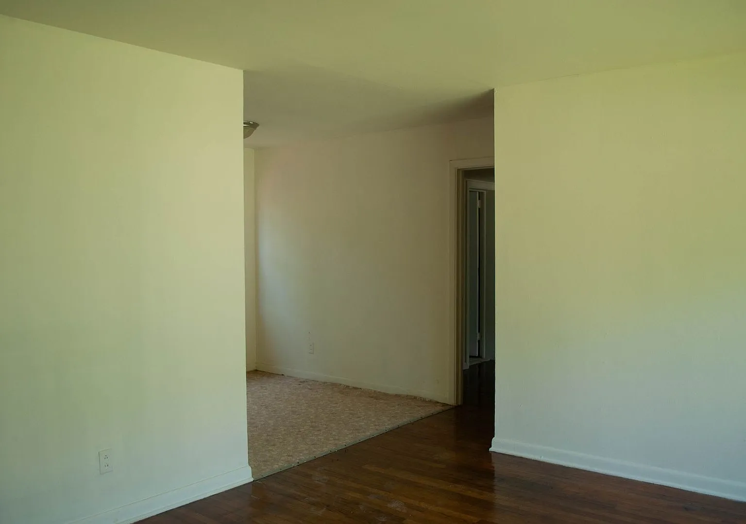Newly Renovated 3/2 — Photo 3
