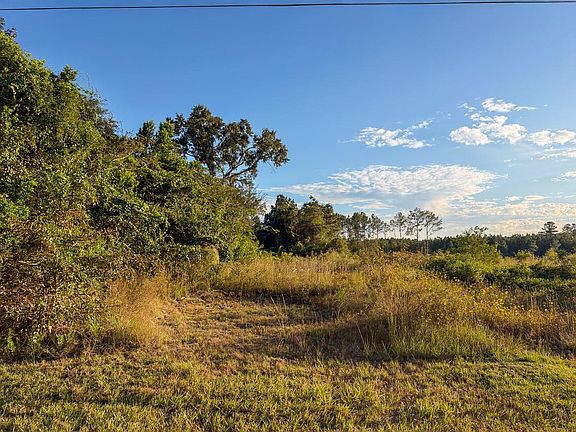 5th image of 12 Fm 2827 Rd