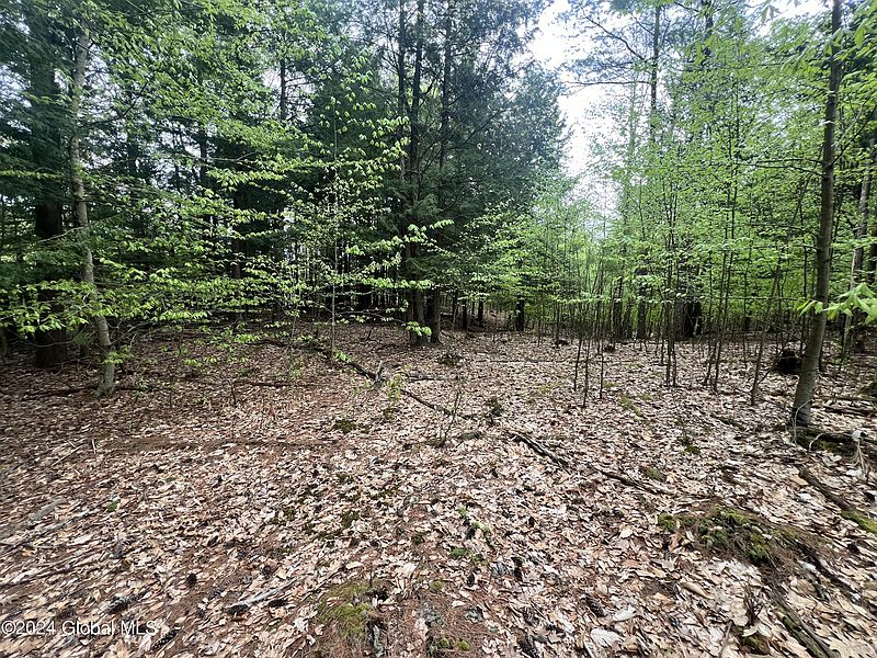 3rd image of 183 Wells Road