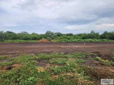 LOT 121 Wilderness Dr, Brownsville, TX, 78526