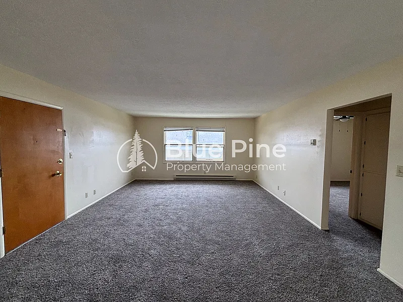 2 bed, 1.0 bath, 900 sqft, $1,100 — Photo 2