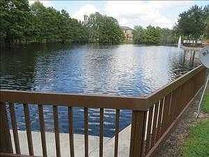 Pond